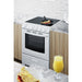 Summit 24" Wide Electric Smooth-Top Range (REX2421WRT)