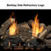 Majestic Courtyard Vent-Free Outdoor Natural Gas Fireplace Majestic