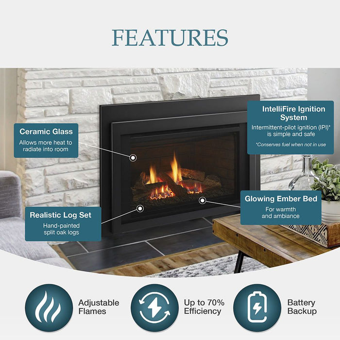 Majestic Jasper Medium 30" Direct Vent Gas Insert With IPI Ignition System Majestic