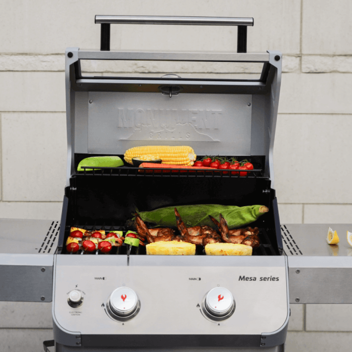 Monument Grills Mesa 200S | Foldable Stainless Gas Grill 2 Burner Grill - Lifestyle View