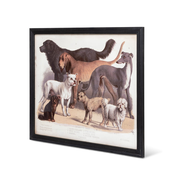 Park Hill Collection Domestic Dogs Framed Print - Large Distressed Black Artwork Showcasing Beloved... Home Decor - Close-Up