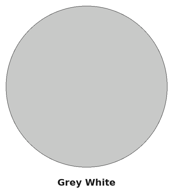 TessaRai Grey White swatch