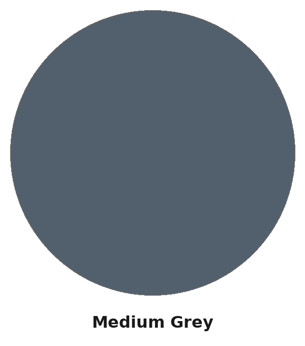 TessaRai Medium Grey swatch