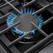 Thor Kitchen 30-Inch Gas Range with 5 Burners, 4.55 cu. ft Oven in Stainless Steel (LRG3001U) Thor Kitchen