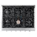 Thor Kitchen 36-Inch Gas Cooktop in Stainless Steel with 6 Burners (HRT3618U) Thor Kitchen