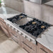 Thor Kitchen 48-Inch Gas RangeTop in Stainless Steel with 6 Burners Including Power Burners and Griddle (HRT4806U) Thor Kitchen