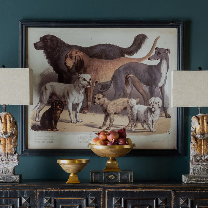 Park Hill Collection Domestic Dogs Framed Print - Large Distressed Black Artwork Showcasing... Home Decor - Detail View