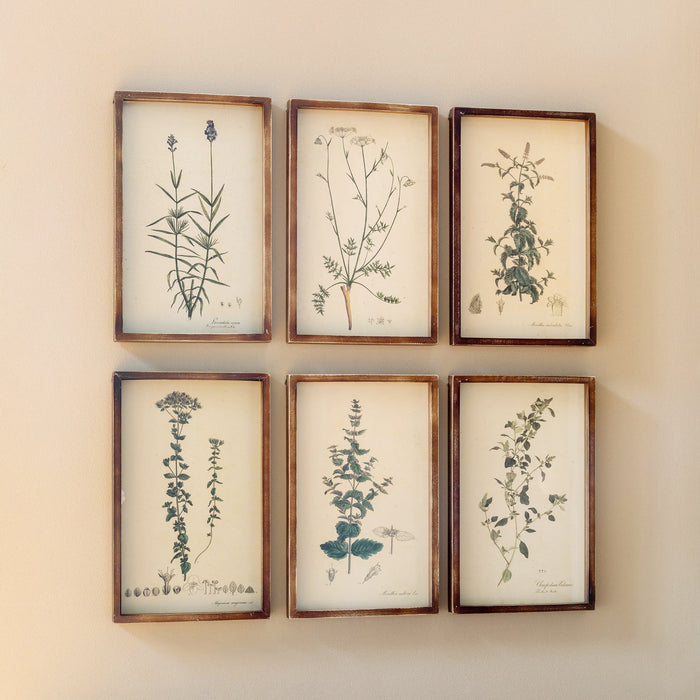 Park Hill Collection Collected Vintage Botanical Framed Prints Set of 6 – Elegant Shadowbox... Home Decor - Side View
