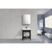 KubeBath Cisco Stainless Steel Console with Acrylic Sink KubeBath