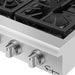 Empava 36" Built-In Natural Gas Cooktop with 6 Burners, EMPV-36GC31 Empava