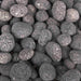 Polished Lava - 2" to 3" (1/2 Cubic Foot) by The Outdoor Plus The Outdoor Plus