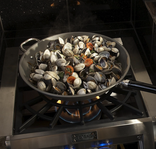 Fire Magic Echelon Diamond Built-In Propane Gas Power Burner W/ Porcelain Coated Cast Iron Grid - 19-5B2P-0 Fire Magic