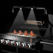Fire Magic Echelon Diamond E790i 36" Natural Gas Built-In Grill w/ Backburner, Rotisserie Kit, Magic View Window and Analog Thermometer - E790I-8EAN-W Fire Magic