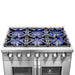 FORNO 36" Capriasca Titanium Gas Range in Stainless Steel With 6 Burners, Professional Oven, And French Door FFSGS6460-36 FORNO
