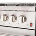 Forno 2-Piece Appliance Package - 48-Inch Dual Fuel Range  & 60-Inch Pro-Style Refrigerator in Stainless Steel FORNO