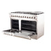 Forno Appliance Package - 48 Inch Dual Fuel Range, Range Hood, Built-In Refrigerator, Microwave Drawer, Dishwasher, Wine Cooler, 33SB-FFSGS6156-48 FORNO