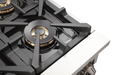FORNO Capriasca - Titanium Professional 48" Freestanding Colored Door Gas Range FFSGS6260-48WHT FORNO