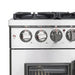 FORNO Massimo 36-Inch Freestanding French Door Dual Fuel Range in Stainless Steel - FFSGS6325-36 FORNO